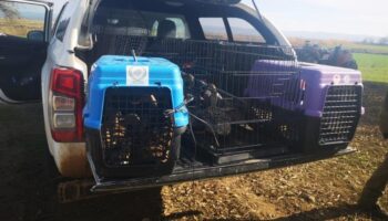 canakkalede kacak av operasyonu 70 bin lira ceza kesildi EmrRY1pI