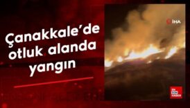 canakkalede otluk alanda yangin wy7Xx85r