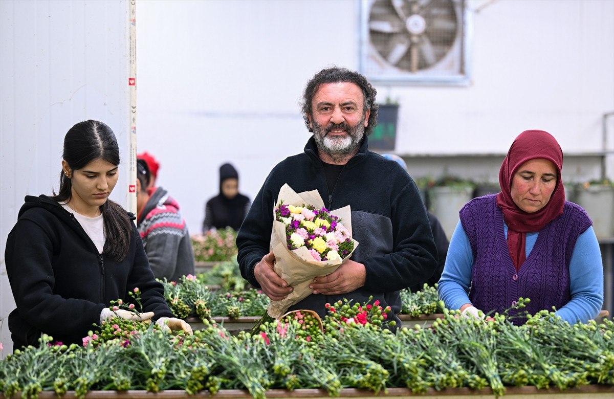 cicek sektoru gozunu japonya pazarina dikti 1 SRaF76cu