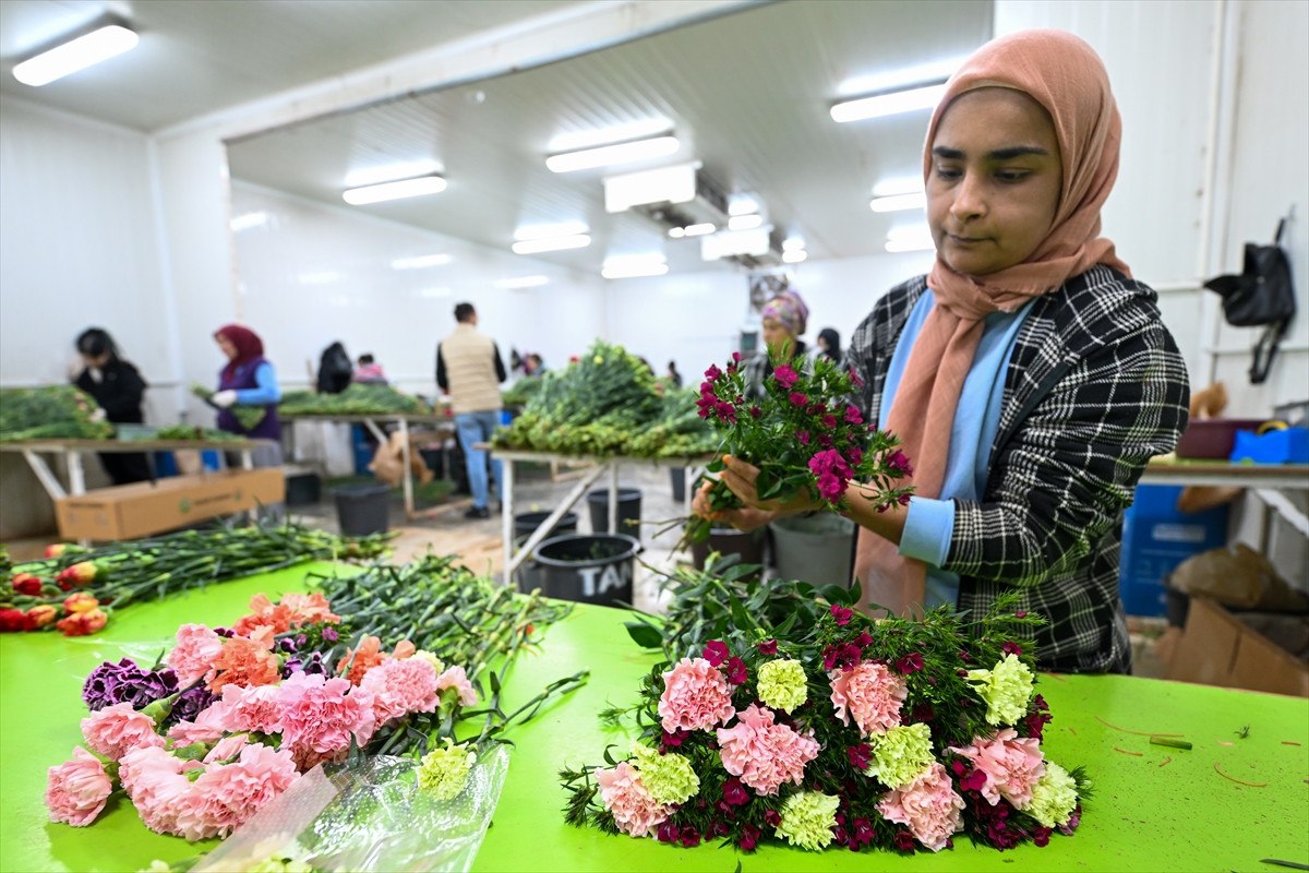 cicek sektoru gozunu japonya pazarina dikti 4 ksHFRi1u
