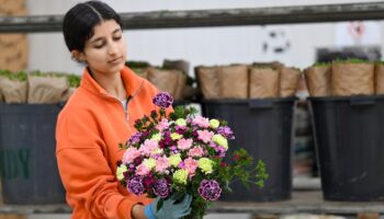 cicek sektoru gozunu japonya pazarina dikti WWDHCV35