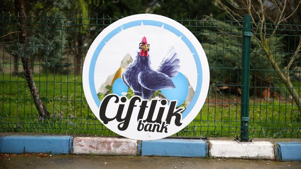 'Çiftlik Bank' davasında karar açıklanacak: 88 bin 302 yıl hapsi isteniyor 1 ciftlik bank davasinda karar aciklanacak 88 bin 302 yil hapsi isteniyor 0 3RhFerYq