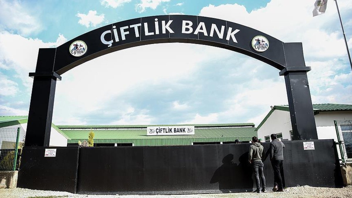 'Çiftlik Bank' davasında karar açıklanacak: 88 bin 302 yıl hapsi isteniyor 3 ciftlik bank davasinda karar aciklanacak 88 bin 302 yil hapsi isteniyor 2 tbpQbw8F