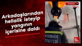 diyarbakirda cesur itfaiyeci ve arkadaslarina basari belgesi IzHRgyts