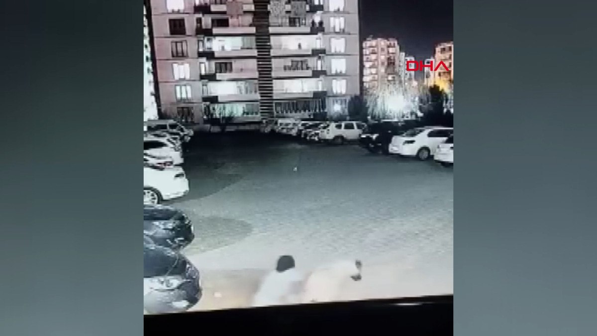 diyarbakirda kopek dehseti kadin ve cocuk saldiridan zor kurtuldu 0 IVLTqBLU