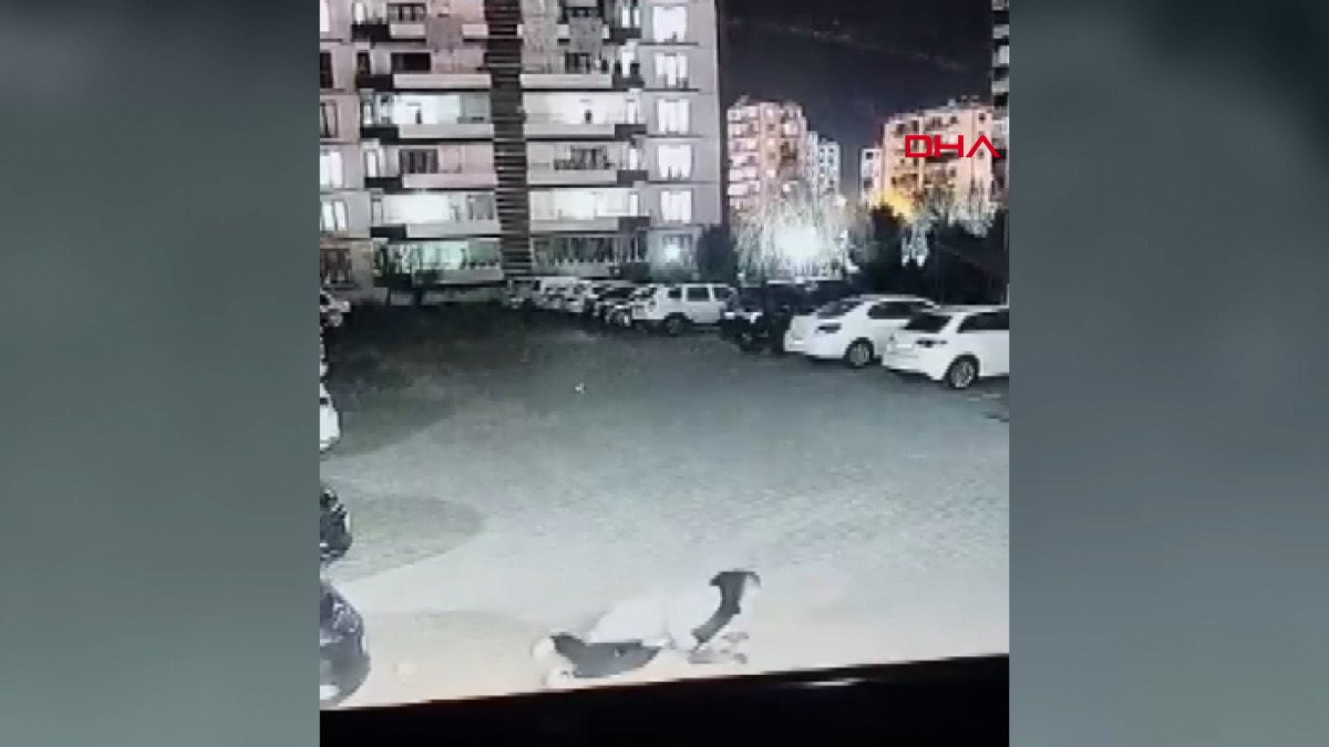 diyarbakirda kopek dehseti kadin ve cocuk saldiridan zor kurtuldu 5 fWEM8nGa