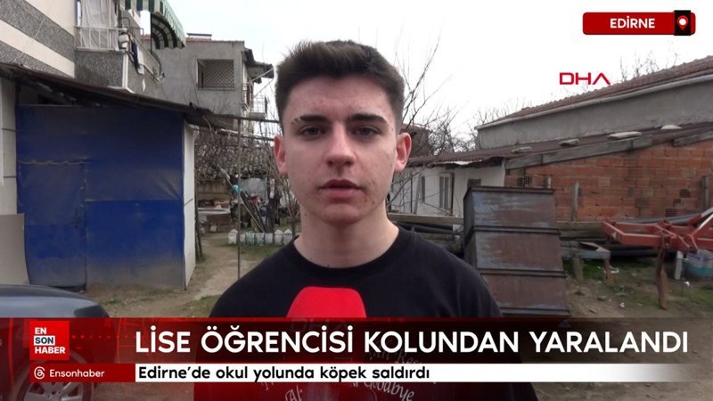 edirnede okul yolunda kopek saldirdi ssSBeS4q