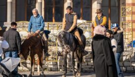 endulusten mekkeye at ustunde hac yolculugu gNYPwG8u