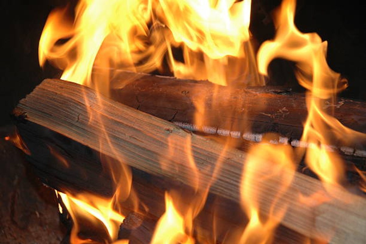 fernando baezin kitap kiyiminin evrensel tarihi calismasinda kitap kiyimi kitaplarima dokunmayin 0 AdnYhJ2w