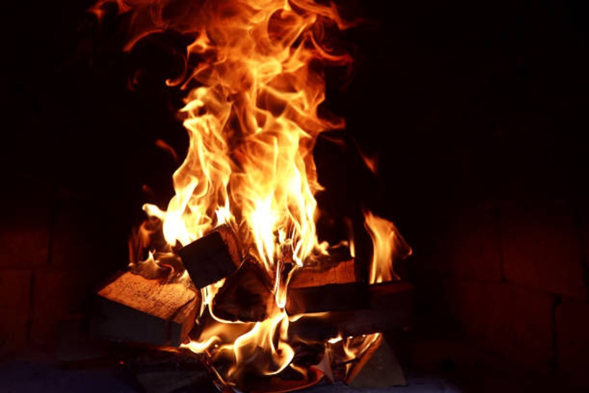 fernando baezin kitap kiyiminin evrensel tarihi calismasinda kitap kiyimi kitaplarima dokunmayin 3 SVlt4N6T