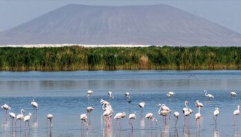 ibrahim yumakli turkiyede 131 sulak alan koruma altinda PO2BeZav