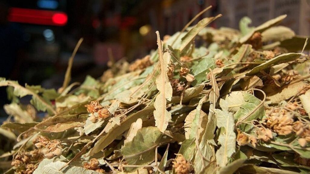 ihlamurun kilosu altinla yarisinca ilgi azaldi onun yerine kis caylari satiliyor R4Xl2KQN