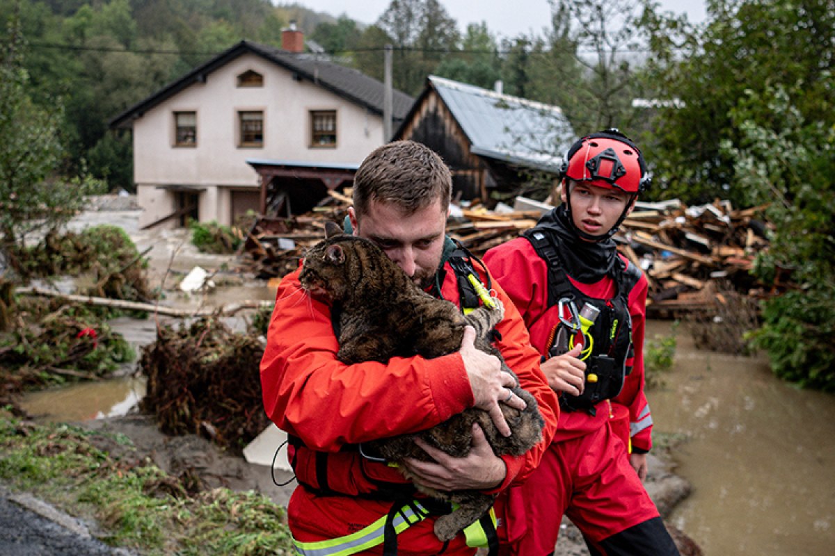 iletisim baskani altun aanin yilin karelerini oyladi 6 BuVLiSii