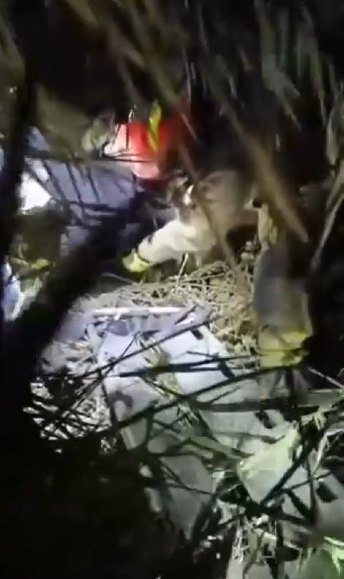 istanbulda alkollu sahis fotograf cekinmek isterken canindan oluyordu 0 Q5wAJMnQ