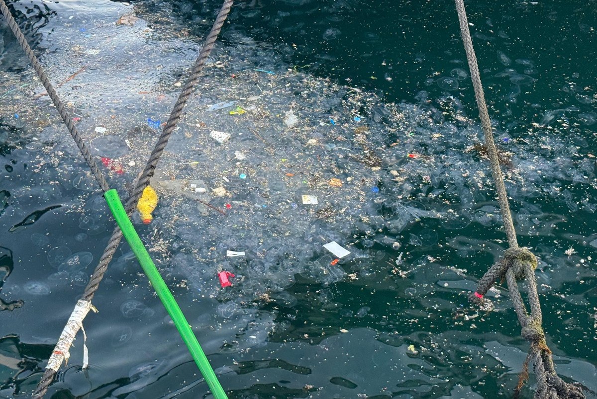 İstanbul'da Beşiktaş sahilini çöp kapladı: Vatandaşlar tepki gösterdi 1 istanbulda besiktas sahilini cop kapladi vatandaslar tepki gosterdi 0 2GDseiIU