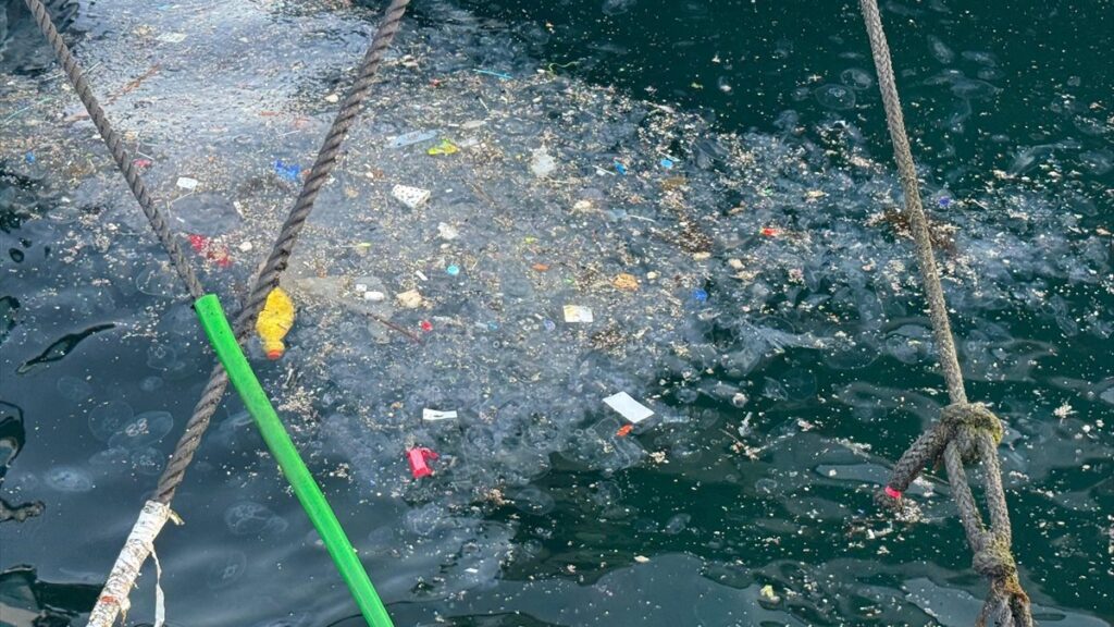 istanbulda besiktas sahilini cop kapladi vatandaslar tepki gosterdi 6NYi8zWR