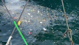 istanbulda besiktas sahilini cop kapladi vatandaslar tepki gosterdi 6NYi8zWR