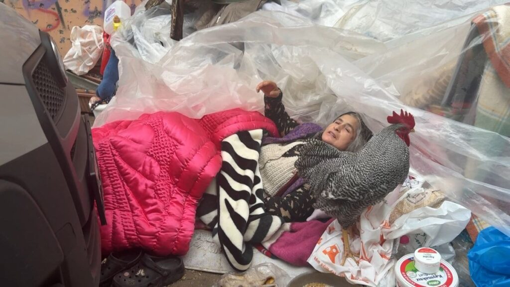 istanbulda esyalarini icra memurlarindan kacirmaya calisan horozlu teyze cop evden tahiye edildi QrwL8fE8