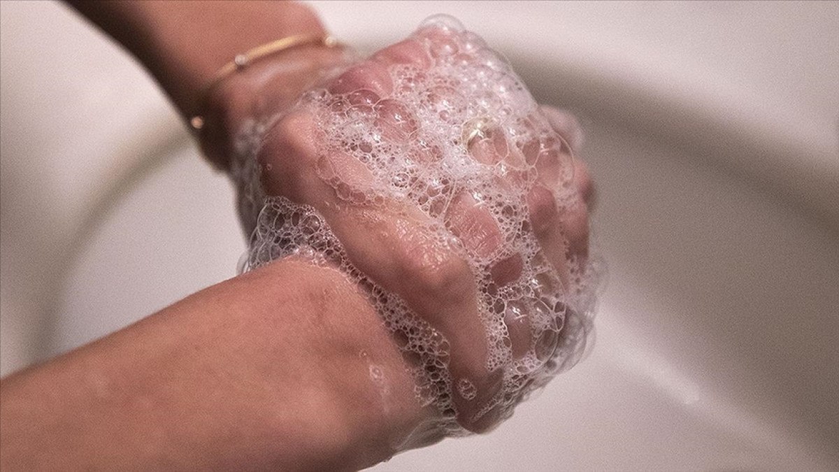 istanbulda gecen yil 370 binin uzerinde kuduz asisi uygulandi 2 cvIpZmP2