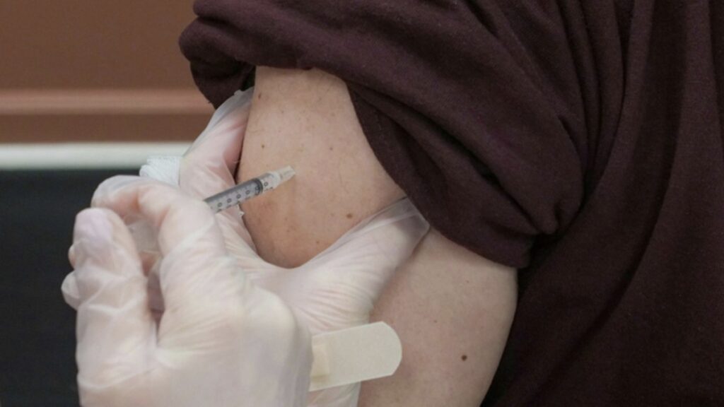 istanbulda gecen yil 370 binin uzerinde kuduz asisi uygulandi lkR4NM2R