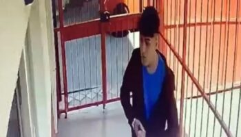 istanbulda okul mudurunu olduren ogrenciden irkcilik iddiasi lhJB2YhE