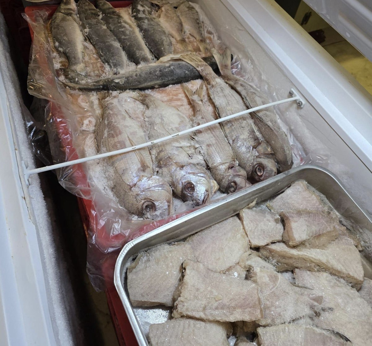 izmirde 38 ton bozuk et ve balik ele gecirildi 0 H61uOAsR