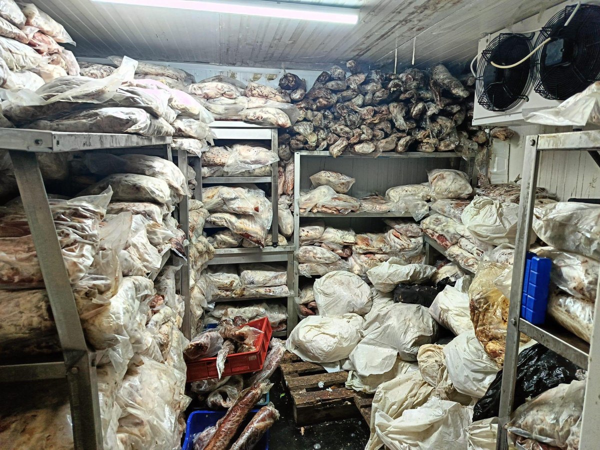 izmirde 38 ton bozuk et ve balik ele gecirildi 1