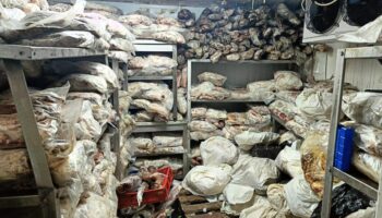 izmirde 38 ton bozuk et ve balik ele gecirildi Mbg7tgPm