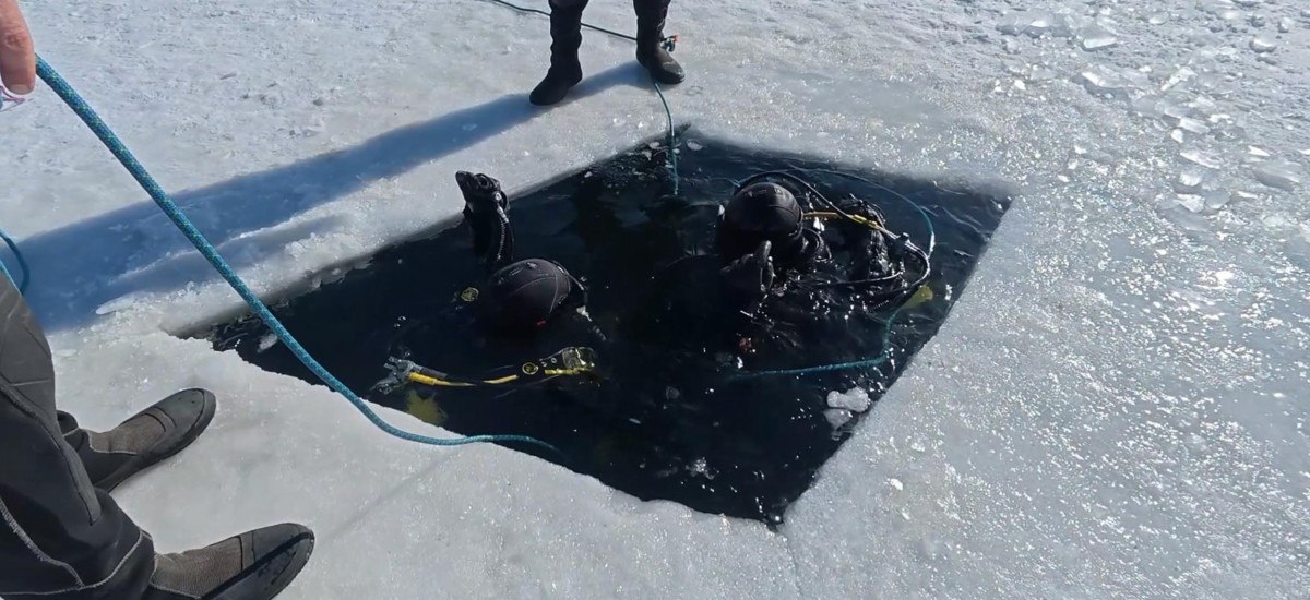 jandarmadan nefes kesen dalis egitimi 2 BTUvqEG2