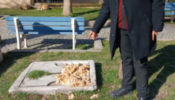 kutahyada 12 yasindaki cocuga basibos kopek saldirdi WiycAkya