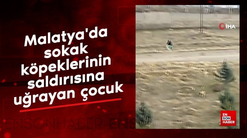 malatyada sokak kopeklerinin saldirisina ugrayan cocuk 4WyH4VK9