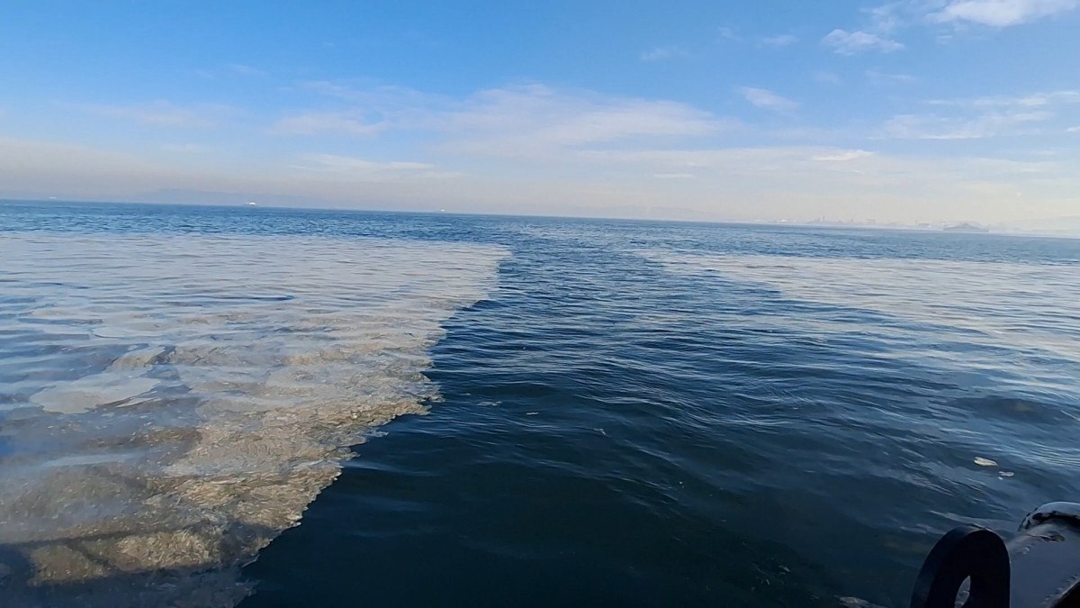 Marmara'da müsilaj artmaya devam ediyor 6 marmarada musilaj artmaya devam ediyor 5 nDfcRYSD
