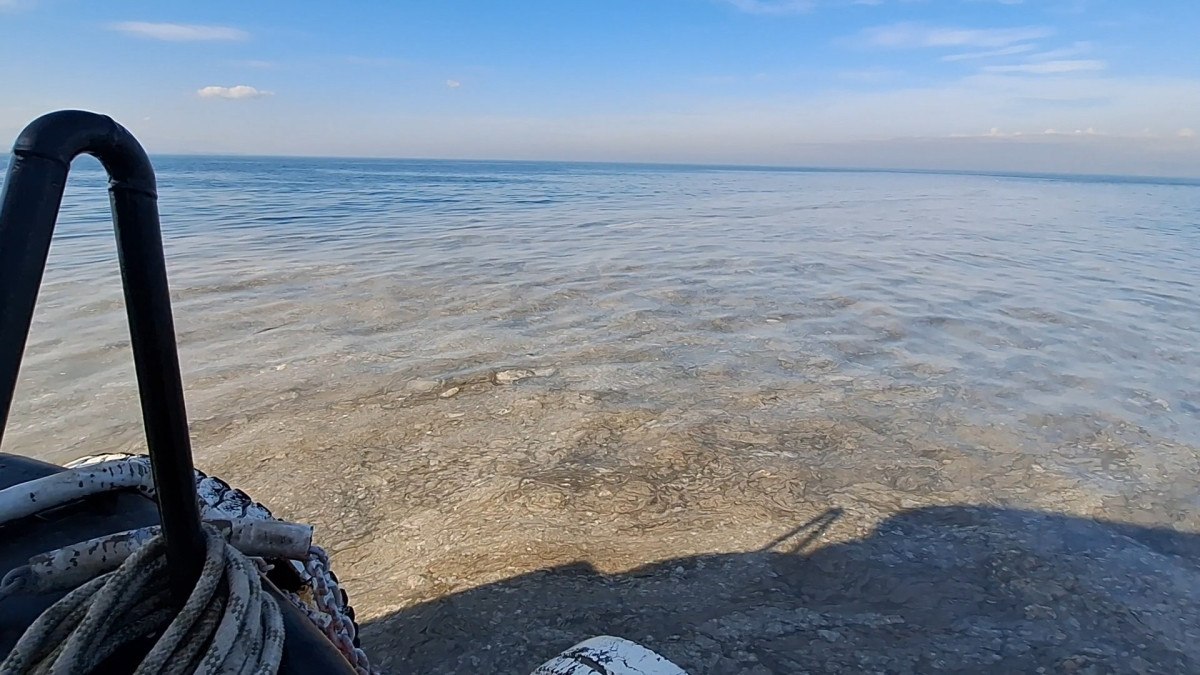 Marmara'da müsilaj artmaya devam ediyor 7 marmarada musilaj artmaya devam ediyor 6 m6D3QMMy