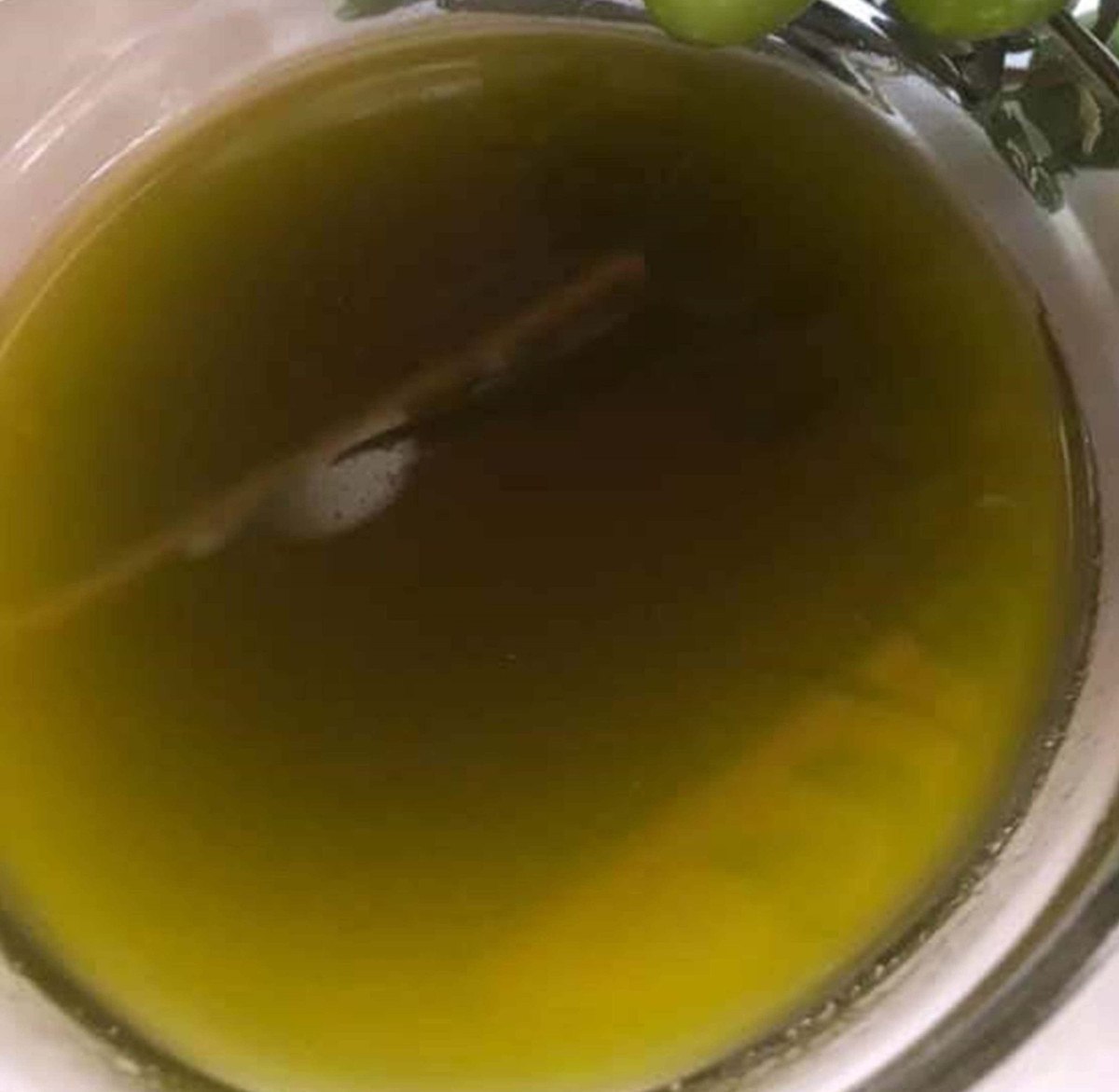 mersinden 150 bin tonluk zeytin rekoltesi 4 nDGKhacy