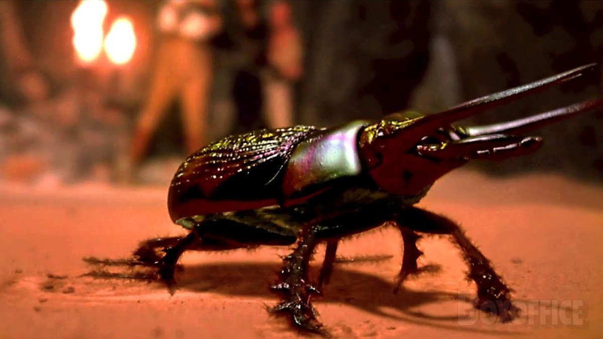 mumya filmindeki bocekler bakin hangi turdenmis 0 AlMBQ7yF