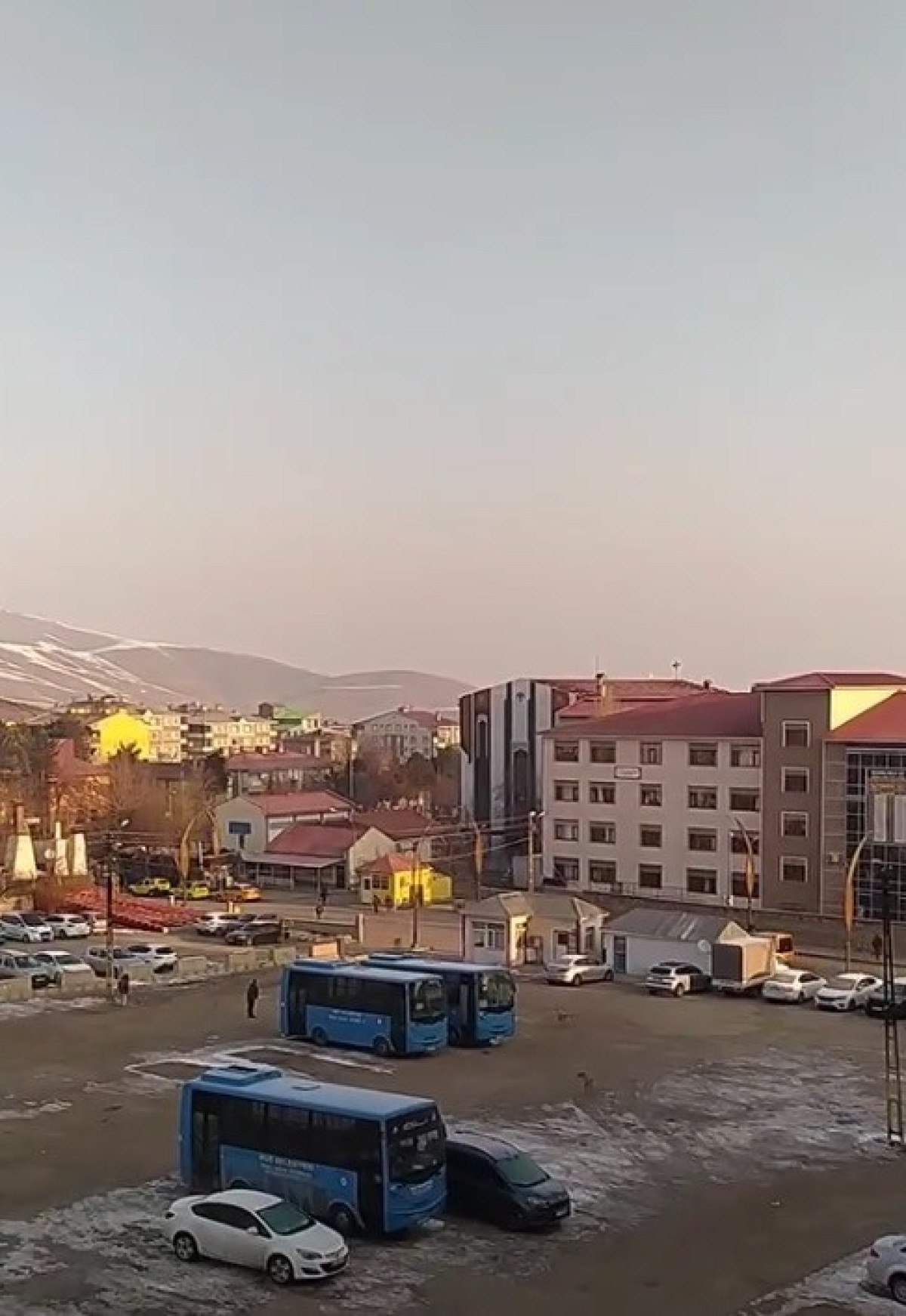 musta basibos kopeklerden kacan ogrenci yere dustu 0 thsusac1