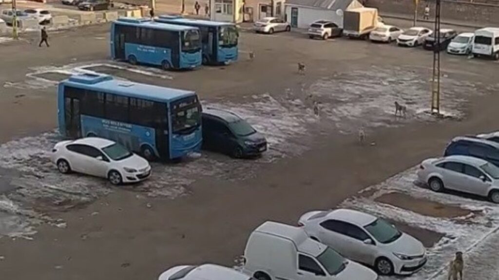 musta basibos kopeklerden kacan ogrenci yere dustu 4YEBiazg