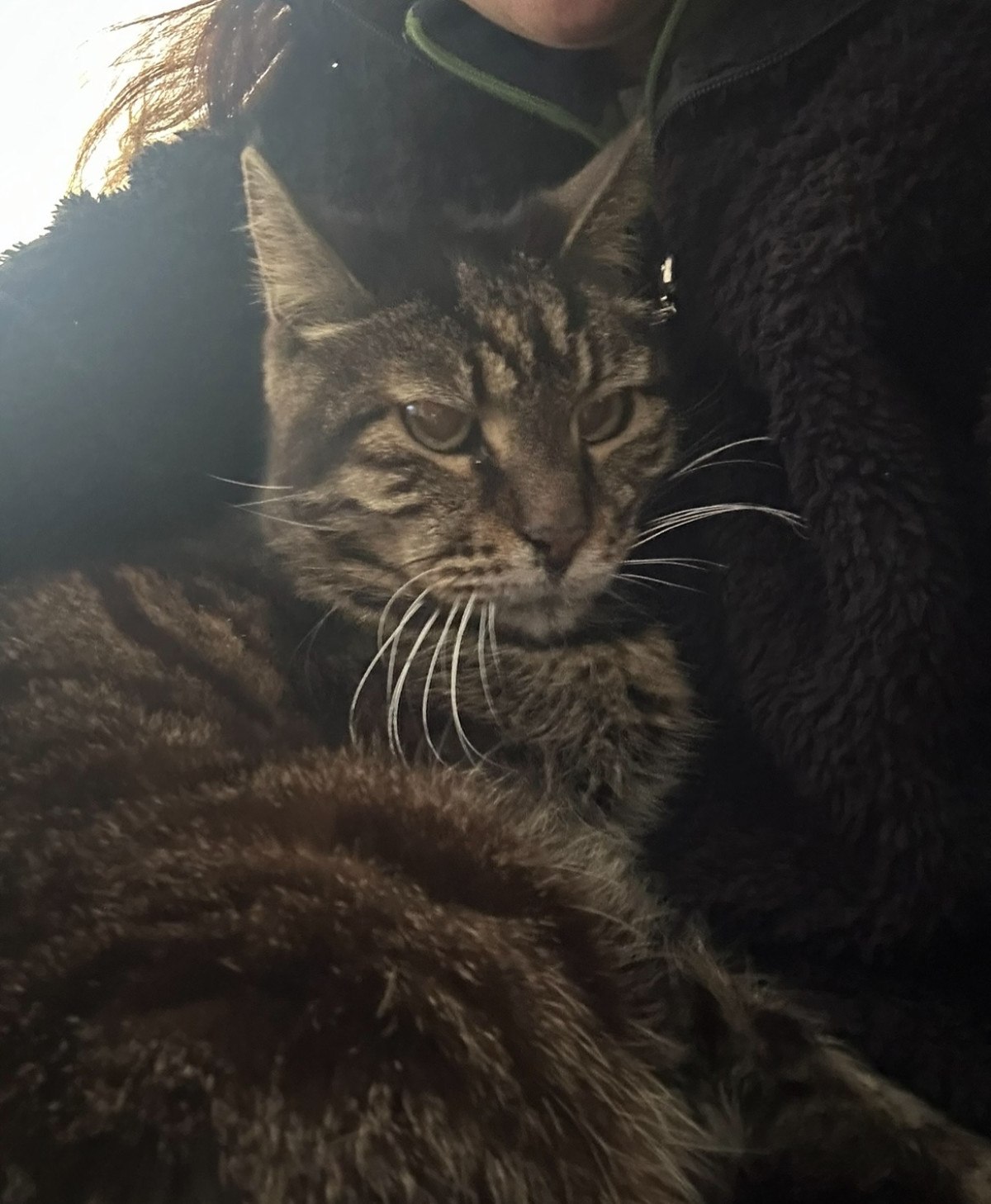 oyuncu binnur kayanin aci gunu kedisi gurkan enisteyi kaybetti 0 67S5Fkdz