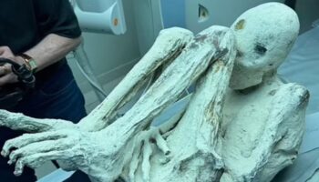 peruda bulunan uc parmakli mumyalarin uzayli oldugu iddia edildi 5KWmqlwe