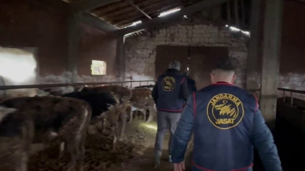 sakaryada hayvan hirsizligi yapan ceteye operasyon 7 kisi tutuklandi mndOd8Gc
