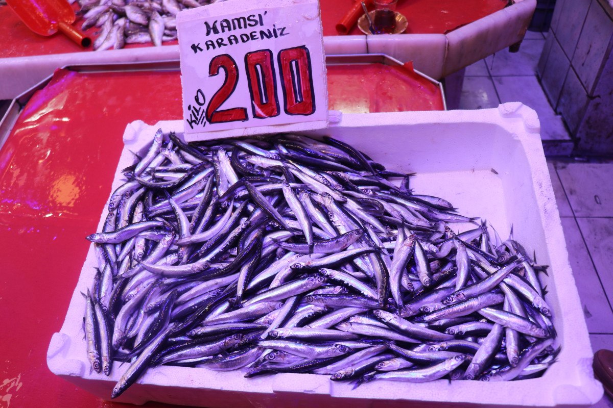 sakaryada kilosu 100 liradan satilan istavrit hamsiyi geride birakti 0 UJM5JQE3