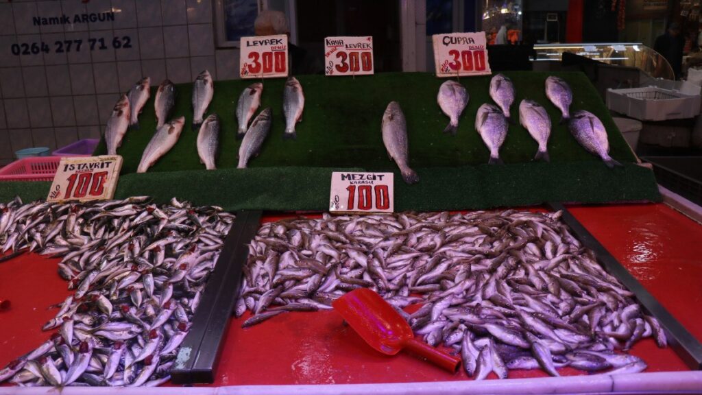sakaryada kilosu 100 liradan satilan istavrit hamsiyi geride birakti mF5NuU4i