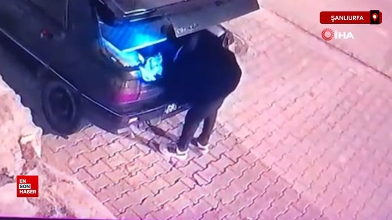 sanliurfada park halindeki otomobilden hirsizlik cH8s8cQm