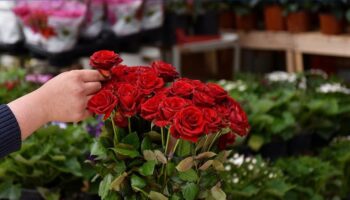 sevgililer gunu tuzaklarina dikkat qrdaE6vN