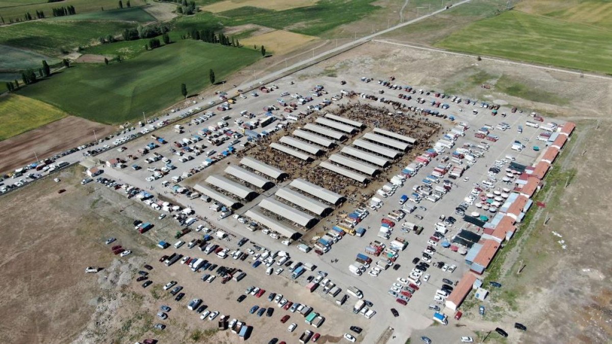 sivasta sap alarmi sarkisla hayvan pazari gecici olarak kapatildi 0 K3picJQW