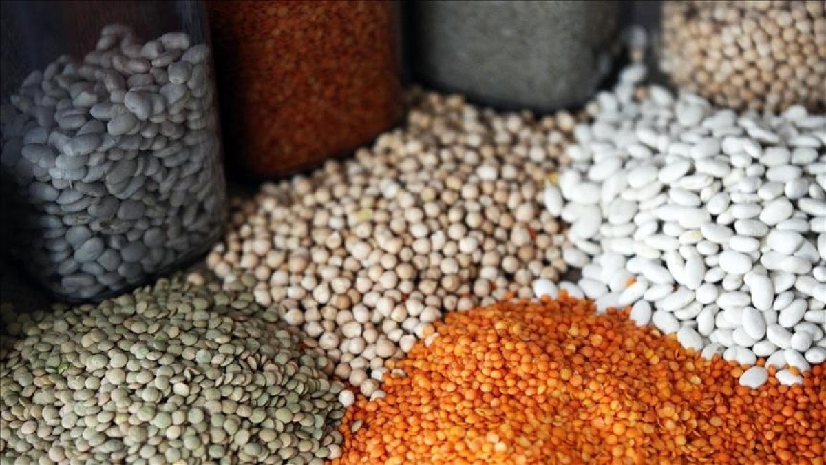 suriyeye yapilan hububat ve bakliyat ihracati artacak 0 1WMYk6aQ