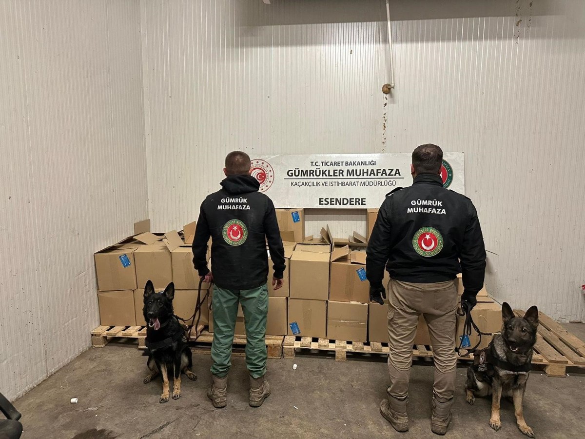 ticaret bakanligi 608 kilogram uyusturucu madde ele gecirildi 0 SgNnhT3G
