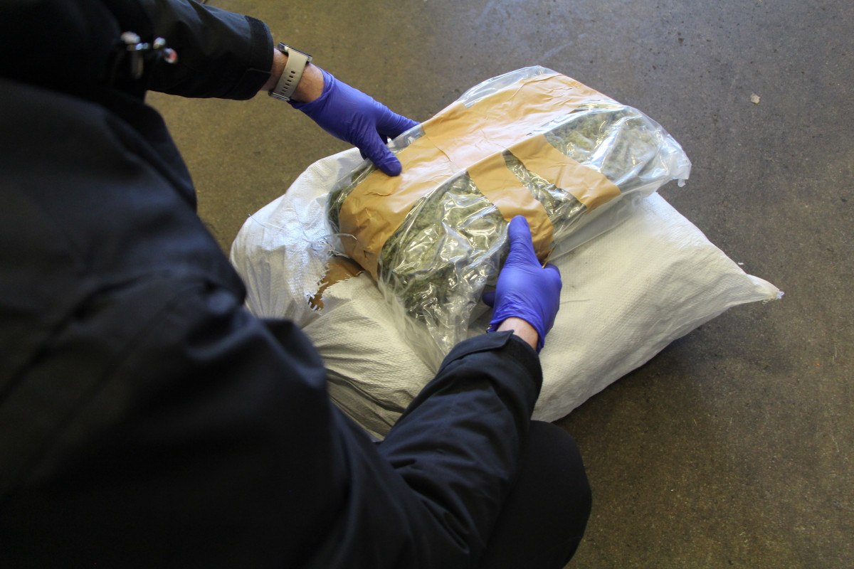 ticaret bakanligi 608 kilogram uyusturucu madde ele gecirildi 2 6sg3rzMM