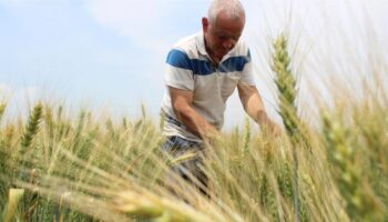 tzob ciftcilerimizin girdi maliyetleri surekli artiyor iUDjMPL2
