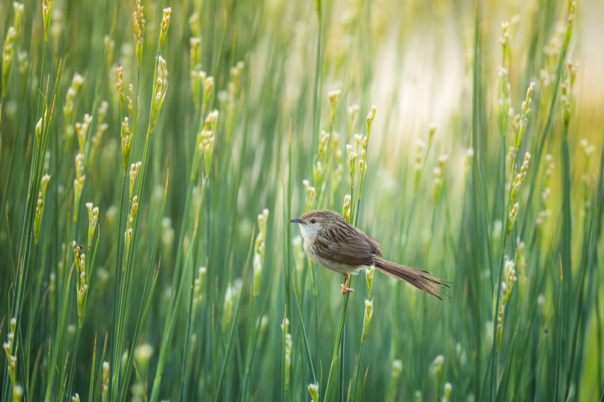 van valisi ozan balci aanin yilin kareleri oylamasinda 5 secim yapti 2 2OQszviI